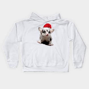 Sugar Glider Kids Hoodie